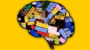 Cognitive Legos' Help The Brain Build Complex Behaviors ...