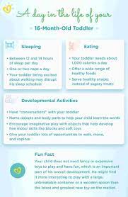 16 Month Old Development Milestones Pampers