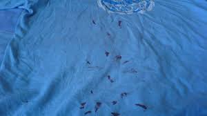 Removing blood stains from fabric is easiest when the stain is wet, but it's still possible if the stain dried already. How To Remove Blood Stains From Clothes Dengarden Home And Garden