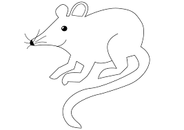 Coloring Page Mouse Free Printable Coloring Pages