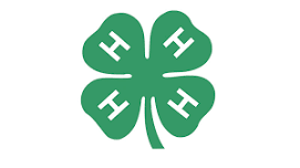 4-H: Horse Show 2026