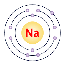 Since 1s can only hold two electrons the next 2 electrons for sodium go in the 2s orbital. Write The Electronic Configuration Of The Following Atoms And The Valcy From The Arrangement Of The Electrons A Sodium B Phosphorus C Sulphur D Argon Chemistry Topperlearning Com 65c1feuu