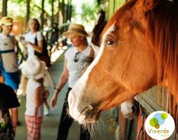 Huzur Dolu Guzel Bir Tatil Icin Viverde Hotel Berke Ranch Horse Riding Viverde Berke Ranch Hotel Tatiller