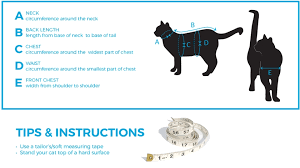 Momentum Control Harness Dog Harness Rc Pets