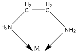 Maybe you would like to learn more about one of these? What Are Chelates Give One Example And Write The Importance Class 12 Chemistry Cbse