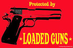 You're like a loaded gun. Protected By Loaded Guns The Swiss Gun Blog