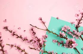 We give you plenty of options to choose from! Peach Blossom On Pastel Colour Background Fruit Flowers Image Stock Photo Picture And Royalty Free Image Image 126210541