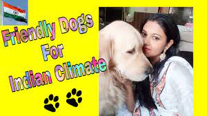 11 Friendly Dog Breeds Suitable For Indian Climates Youtube