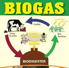 Kelebihan bioenergi yaitu bisa diperbaharui, bersifat ramah lingkungan, dapat terurai, mampu mengeliminasi efek rumah kaca, dan kontinuitas bahan bakunya terjamin. Biogas Kenya Photos Facebook