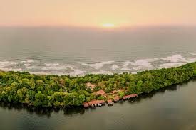 Costa rica, country of central america. Tortuguero Eindrucksvolle Artenvielfalt An Der Karibikkuste Costa Ricas Geo