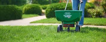 Augustinegrass in one direction only, since multiple passes can injure or kill the lawn. Plant Grow Maintain Centipede Grass Lawns
