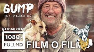 Najeďte myší nad kalendář a. Gump Pes Ktery Naucil Lidi Zit 2021 Hlavni Trailer Hd Youtube