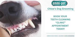 Cronins Canine Companions Emmi-Pet Dog Teeth Cleaning Clinic