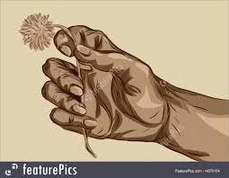 Hand Holding Flower Illustration See more ideas about hand reference, how to draw hands, drawing tutorial. hand holding flower illustration