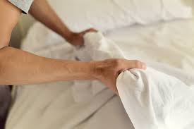 Image result for bedbugs on mattress