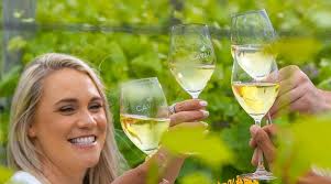 CAVALLI ESTATE (2025) All You Need to Know BEFORE You Go (with Photos)