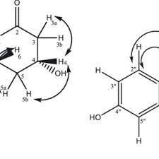Image result for Agelanthus sp. aff. A. brunneus