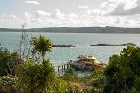 The ferry to tiritiri matangi takes about 75 minutes and operates wednesday to sunday only. What To Expect Of The Tiritiri Matangi Island Tour