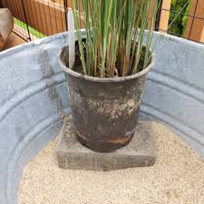 Extra large 270 gallon pond has 2 embedded plant shelves. The Ultimate Guide To Diy Outdoor Indoor Mini Fish Ponds Step By Ste Aquapros