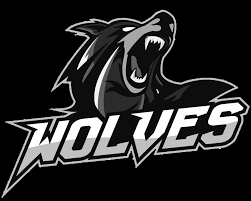 The origins of the chicago wolves logo reach all the way back to september 1993. Wolves Logo Melhores Logos Logos Esportivos Logos