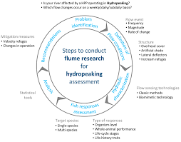 Discover the vessel's particulars, including capacity, machinery, photos and ownership. Sustainability Free Full Text Habitat Enhancement Solutions For Iberian Cyprinids Affected By Hydropeaking Insights From Flume Research Html