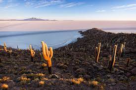 Skip to content +56 9 4207 3790 +56 2 3210 6620 book online. Atacama Desert Altiplano Urs Zihlmann