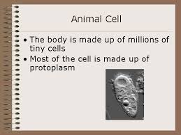 We did not find results for: Animal Genetics Objective 8 02 Understand Genetics Of