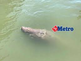 We did not find results for: Waris Warga Emas Ini Dicari