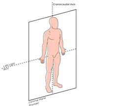 02 Planes Of Motion In 2020 Sagittal Plane Yoga Anatomy Forward Head Posture
