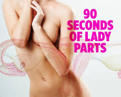 Anatomytools.com provides highly detailed male and female anatomical reference models, artist busts, instructional dvds, armatures and workshops used by fx artists, 3d artists, medical. 16 Fascinating Facts About The Female Anatomy In 90 Seconds