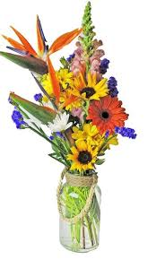 Bird Of Paradise Bouquet Care Eye Catching Design In Clear Vase Includes Bird Of Paradise Snapdragon Yellow Daisies Boydsflowers Wilmi With Images Mothers Day Flowers Flowers Flower Gift
