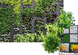 Artificial Wall Plant