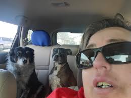 Can I see your adopted pet siblings?