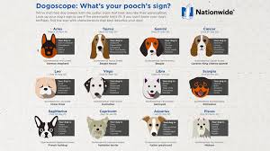 Most of the names here are heavily underused and at the same time, they are undeniably cute. Female Dog Names Pet Health Insurance Tips