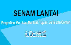 Senam umum adalah semua jenis senam selain dari kelima senam diatas. Senam Lantai Pengertian Gerakan Manfaat Tujuan Jenis Dan Contoh