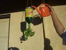 Gently push the tomato plant through the hole and wrap the filtre around the base. 17 Diy Upside Down Planter Ideas Balcony Garden Web