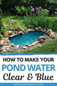 And it often works within hours. How To Make Your Pond Water Clear Blue Ponds Backyard Pond Landscaping Small Backyard Ponds