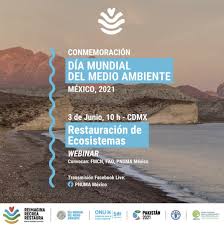 El día mundial del ambiente fue establecido por la organización de las naciones unidas (onu) en su resolución, el 15 de diciembre de 1977.se celebra desde 1974 el 5 de junio de cada año, fecha con la que se dio inicio a la conferencia de estocolmo en 1972. Kvhwplewq2iucm