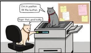 Check spelling or type a new query. How To Tell If Your Cat Is Plotting To Kill You By Matthew Inman