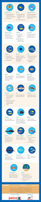 Freshwater Fish Compatibility Chart