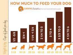 **we believe that the best form of scales are your eyes, so if you think your dog is a little podgy cut its food back a little or if it's a little skinny give it a little. Pitbull Puppy Food Amount Www Macj Com Br