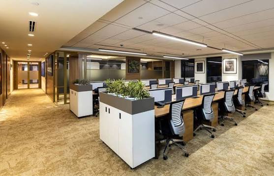 Office & Commercial Interiors