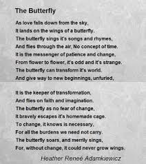 Image Result For Poetry About Transformation Famous Schmetterling Zitate Gemeine Zitate