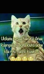 We did not find results for: Vichekesho Motomoto Mchanganyiko Home Facebook