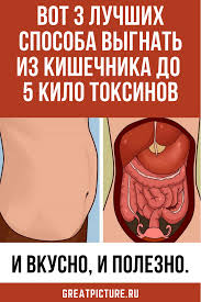 6 типов ожирения и как справиться с каждым из них Vot 3 Luchshih Sposoba Vygnat Iz Kishechnika Do 5 Kilo Toksinov Zdorove Dieta Zhurnal O Zdorove