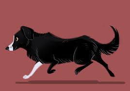 I Saw This Super Cute Pup The Other Day One White Leg Pup Dog Bordercollie Characterdesign Dog Illustration Animal Drawings Animals Artwork