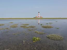 Weite flächen eines wattenmeeres fallen regelmäßig zweimal täglich während der niedrigwasserzeit (ebbe) trocken und sind während der hochwasserzeit (flut). 10 Jahre Weltnaturerbe Wattenmeer Ruckenwind Und Klimawandel Wwf Blog