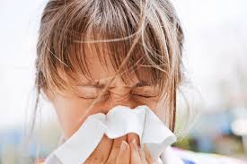 Acariens Prevenir Les Allergies Actualites Sante Acariens Prevenir Les Allergies