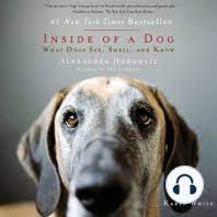 Check spelling or type a new query. Different Breed Of Dogs Terriers Dogs