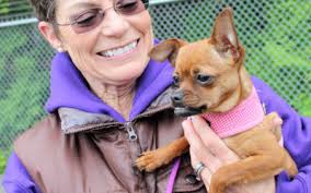 Lisa Karlberg, Author at Bellingham Alive